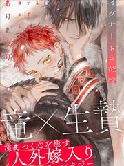 乱马1/2漫画第 3 卷卷册索引封面占位图